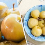 Apel berkarbonasi meleleh di mulut Anda: camilan tersehat yang bisa Anda bayangkan Apel berkarbonasi meleleh di mulut Anda: camilan tersehat yang bisa