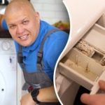 Cara membersihkan mesin cuci dari jamur dan bau: tips jitu dari para ahli Cara membersihkan mesin cuci dari jamur dan bau: tips jitu