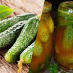 Cara menutup mentimun dalam saus sambal untuk musim dingin: 3 resep yang tak tertandingi Cara menutup mentimun dalam saus sambal untuk musim dingin: 3