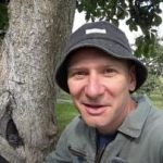 Pohon yang berlubang bukanlah seb penghakiman: cara yang telah terbukti untuk memperpanjang umur pohon Pohon yang berlubang bukanlah seb penghakiman: cara yang telah terbukti