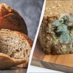 Mengapa roti berjamur dan apakah Anda dapat memotong jamur dan